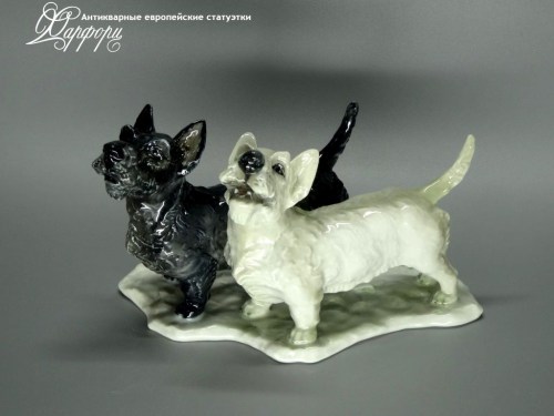 Купить фарфоровые статуэтки Rosenthal, Пара терьеров, Германия
